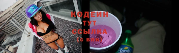 мдпв Лагань