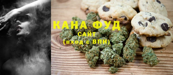 мдпв Лагань