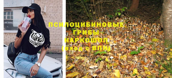 меф Ладушкин