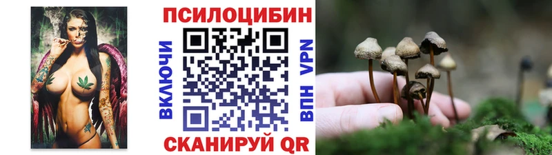 blacksprut маркетплейс  Реутов  Галлюциногенные грибы прущие грибы 