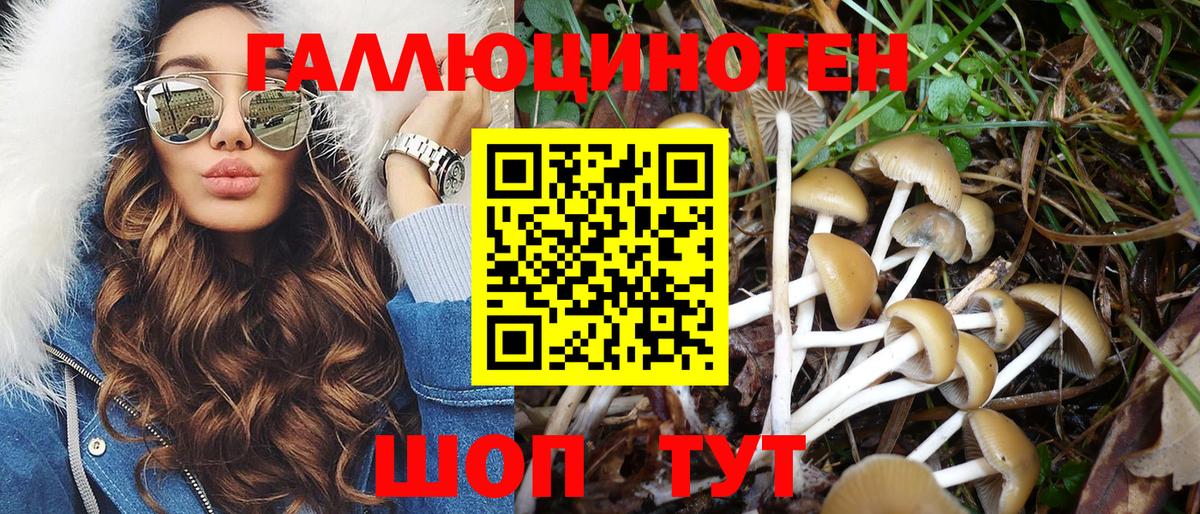 Псилоцибиновые грибы Magic Shrooms  Галлюциногенные грибы прущие грибы  Вход с VPN  Реутов 