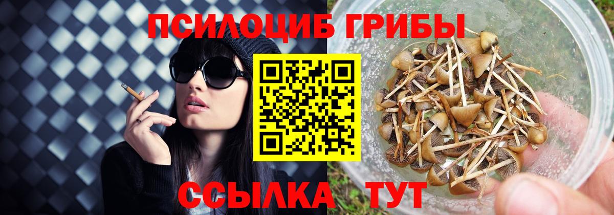 Псилоцибиновые грибы Magic Shrooms Реутов